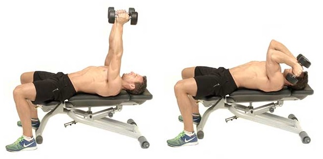 french bench press with dumbbells lying